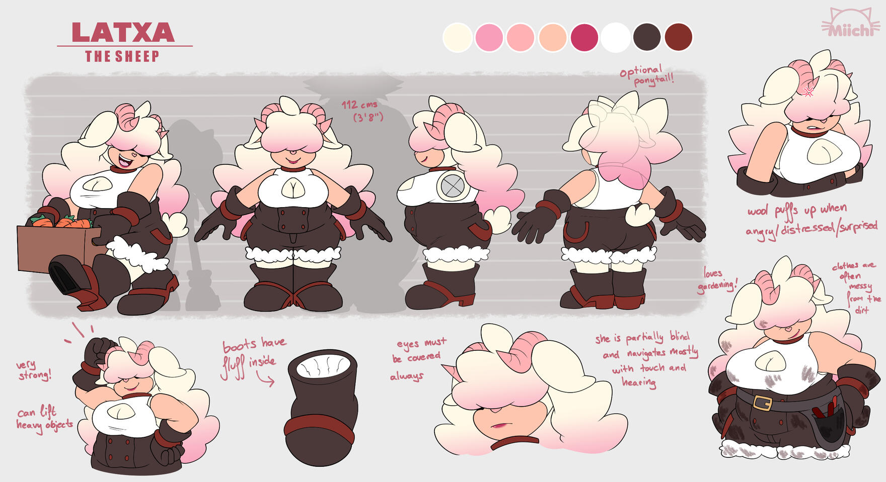 Latxa the Sheep